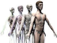 С чего начать обследование организма