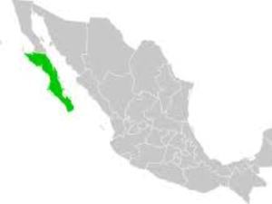 Мексиканская Нижняя Калифорния стремится развивать медицинский туризм