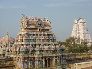 Керала – центр медицинского туризма.