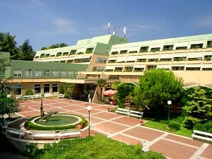 Лучший отель Струньяна - Свобода