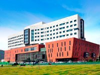 Лечение рака в Ассута в Израиле