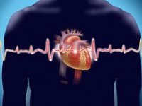 Мерцательная аритмия сердца