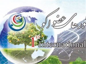 Страны-бывшие республики СССР стремятся развивать туризм