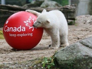 Канада - лидер