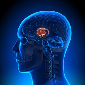 Лечение кисты гипофиза