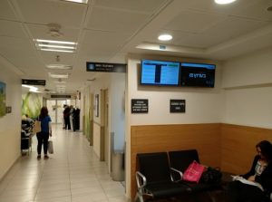 Основные медицинские направления