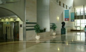 Медицинские направления клиники