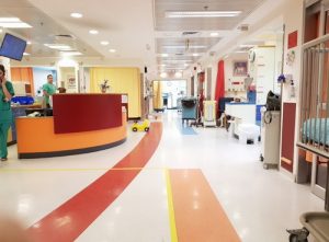 Основные медицинские направления