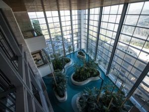 Клиника Хадасса в Израиле