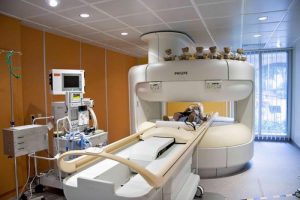 Основные направления клиники