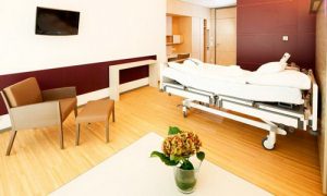 Основные направления клиники