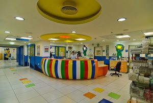 Общие сведения о клинике