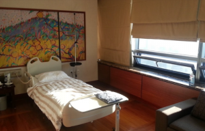 направления деятельности клиники