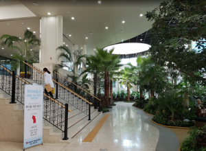 Клиника Северанс