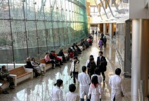 Основные направления работы медцентра