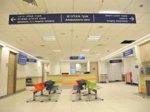 Главные направления клиники