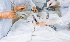 Трансплантация костного мозга в Германии