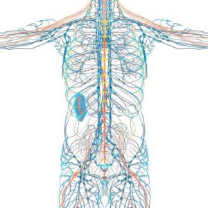О заболевании