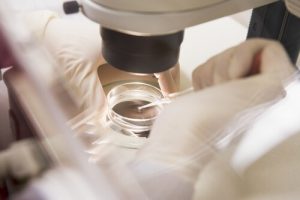 Успешность проведения ЭКО в Китае